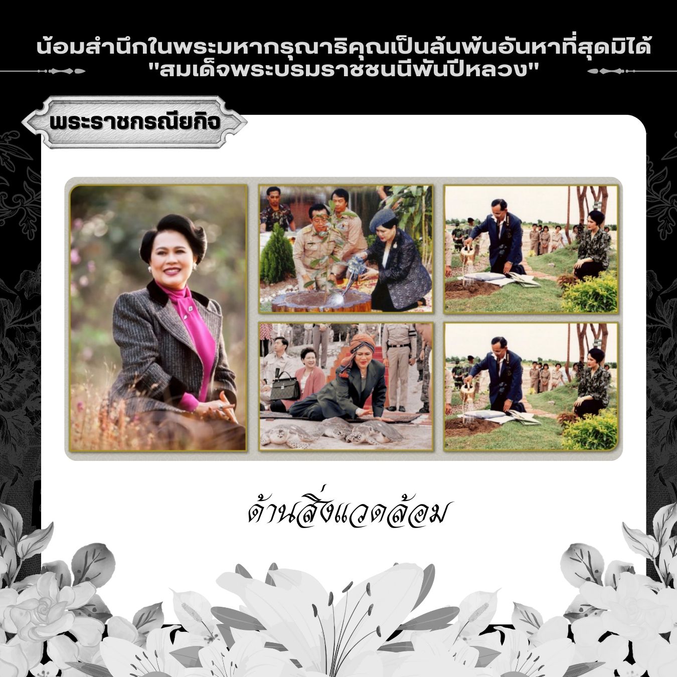 ด้านสิ่งแวดล้อม